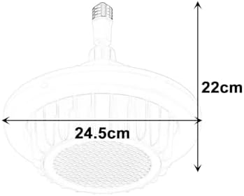 EZVAYA 600W Ceiling Fan with Heater and Light