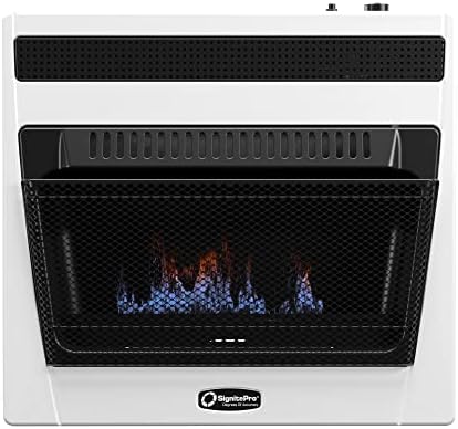 SIGNITE PRO Propane Wall Portable Heater