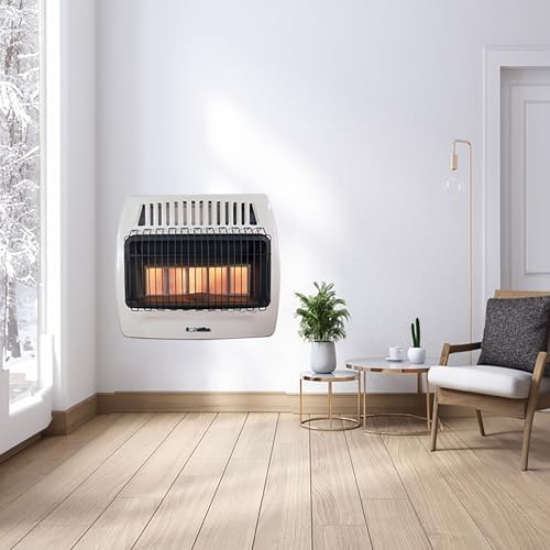 Comfort Glow 30000 BTU Propane Wall Heater