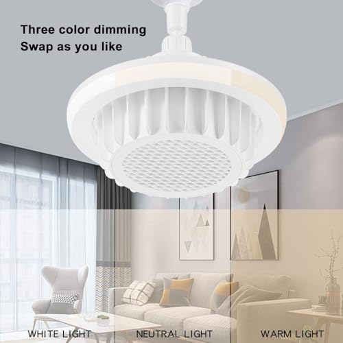EZVAYA 600W Ceiling Fan with Heater and Light