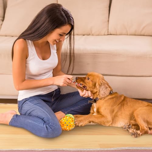 VIHOSE Heated Floor Mat 110V Electric Foot Warmer