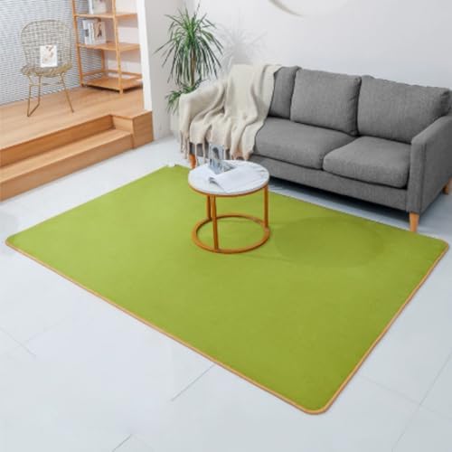 Jidanmian Heated Carpet with Timer and Overheat Protection