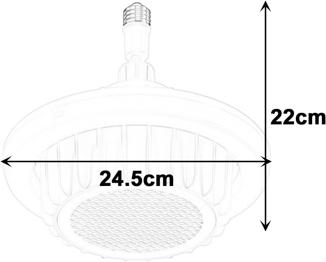 EZVAYA 600W Ceiling Fan with Heater and Light