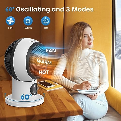 ECOWELL Space Heater Fan Combo with Remote