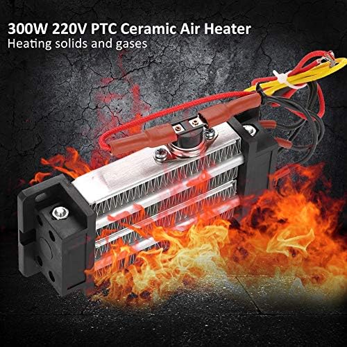 Walfront 300W Ceramic Air Heater with Thermostat